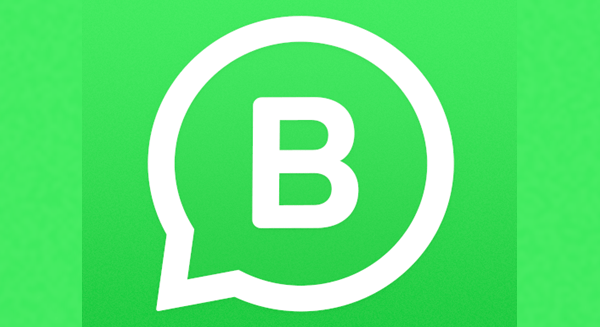 Download WhatsApp Business 2023 update